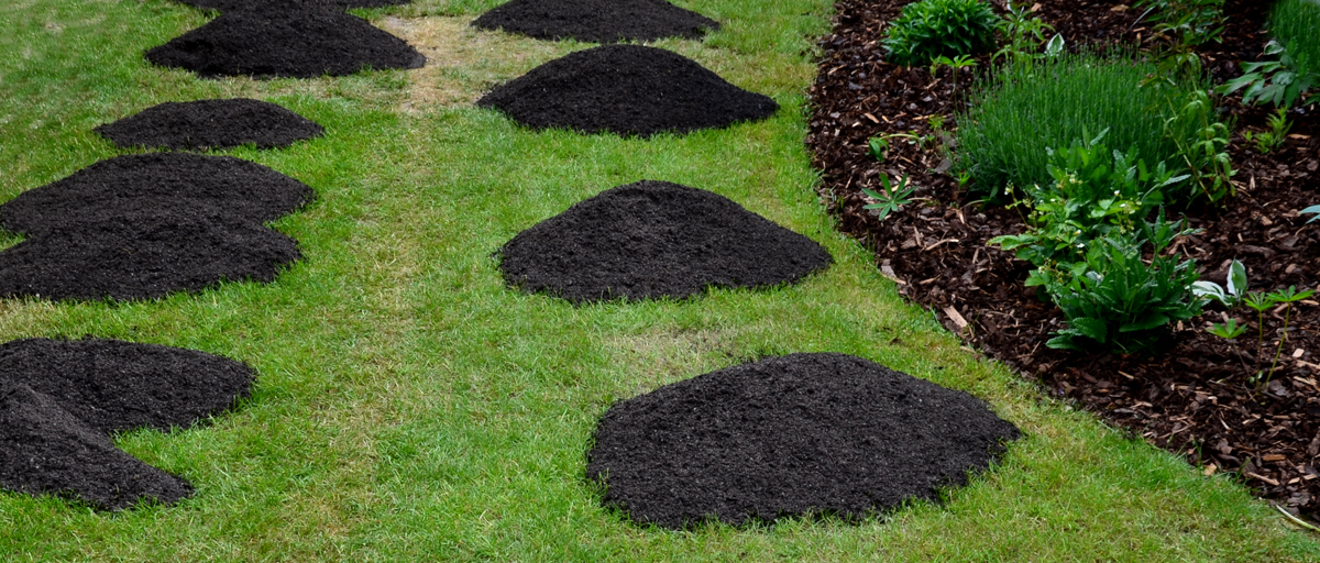 Searles Top Dressing Lawns